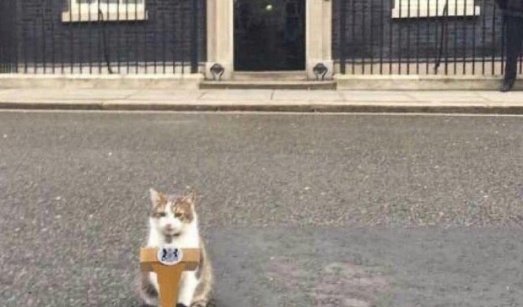 Motanul Larry, cel mai longeviv în serviciul de pe Downing Street 10. Niciun premier britanic nu a reușit această performanță