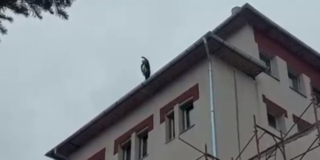 Un bărbat s-a urcat pe clădirea Spitalului Judeţean din Târgu Jiu și ameninţă că se aruncă în gol