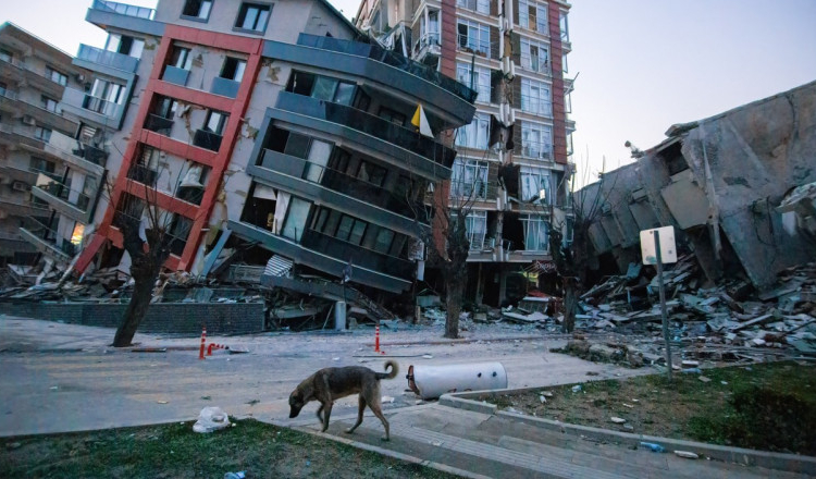 Turcia a stabilit noile reglementări de reconstrucție a clădirilor afectate de cutremur. În total sunt 160.000 de imobile distruse