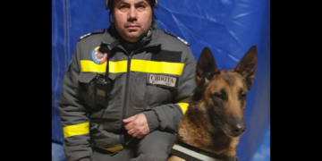 „Doar o dată mai ieșim, apoi promit că ne odihnim”. Povestea lui Speedy, câinele care salvează vieţi de sub dărâmăturile din Turcia