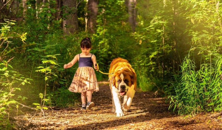 O fetiță româncă din Italia a vrut să imite un film și a plecat de acasă cu câinele ei. A fost salvată de pe șinele de tren