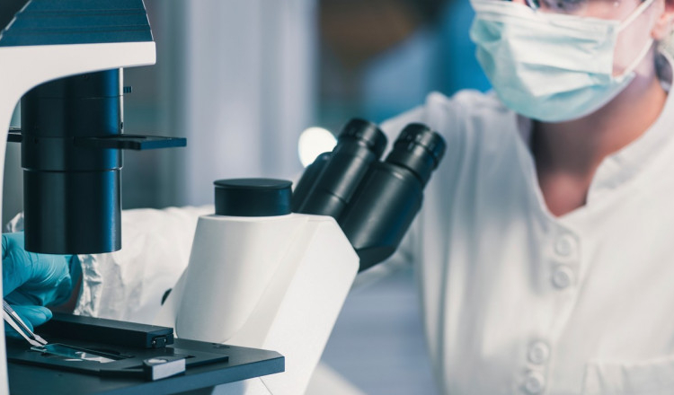 Toxina descoperită într-o plantă ar putea fi noua armă a medicilor în lupta cu bacteriile rezistente la antibiotice