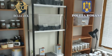 Laborator care producea LSD și ciuperci halucinogene, descoperit de polițiști și procurorii DIICOT