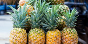 Ananasul era cultivat în Transilvania, în urmă cu 200 de ani. Fructul a fost atât de popular încât apărea în portretele regalităţii