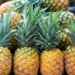 Ananasul era cultivat în Transilvania, în urmă cu 200 de ani. Fructul a fost atât de popular încât apărea în portretele regalităţii