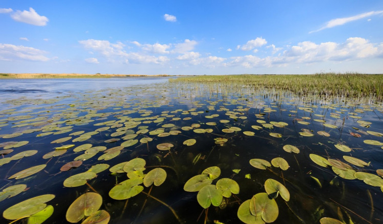 Un bărbat care pescuia ilegal a rămas fără unelte, pește, barcă și motor, plus 10.000 lei amendă și cercetare penală