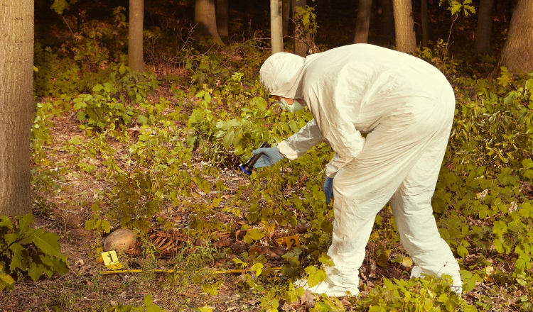 Descoperire macabră în Buzău: craniu și oseminte umane, găsite într-o pădure. „Se presupune că el ar fi”