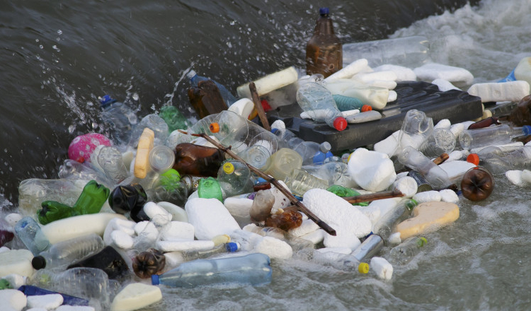 Dosare penale pentru 4 persoane care aruncau gunoiul în pârâul din spatele casei