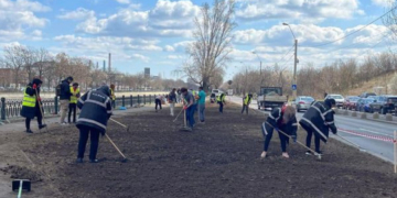 Nicuşor Dan anunță că a început plantarea de seminţe de flori pe malul Dâmboviței, în zona Parcului Natural Văcăreşti