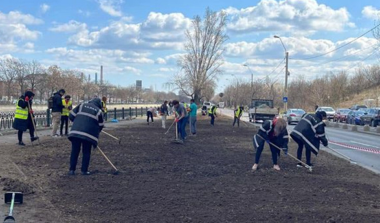 Nicuşor Dan anunță că a început plantarea de seminţe de flori pe malul Dâmboviței, în zona Parcului Natural Văcăreşti