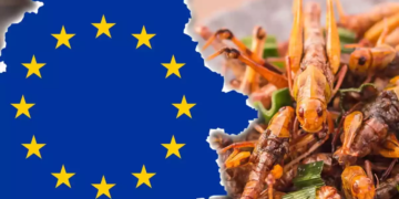 MAREA RESETARE ALIMENTARĂ: România, obligată să renunțe la carne și să treacă la insecte!