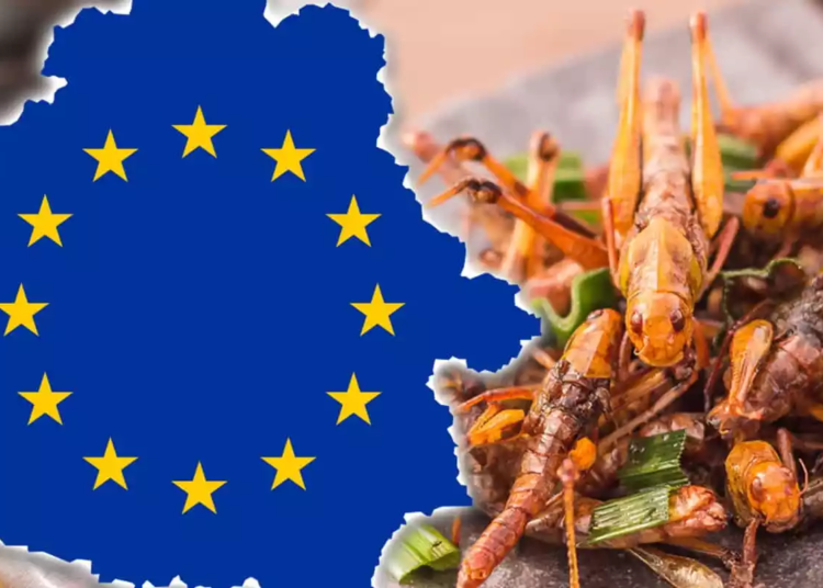 MAREA RESETARE ALIMENTARĂ: România, obligată să renunțe la carne și să treacă la insecte!
