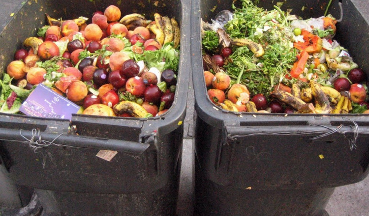 Campioni la sărăcie, printre primii la risipă. Românii aruncă milioane de tone de alimente pe an la gunoi