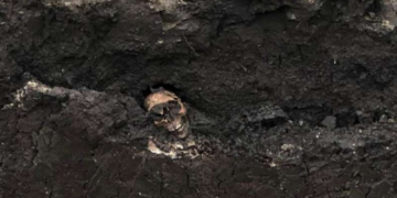 Oase umane descoperite în centrul Devei, în timpul unor lucrări de excavare