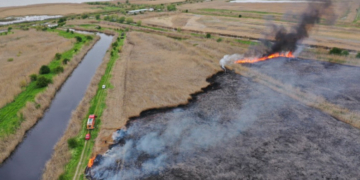 Incendiu pe zeci de hectare, în Delta Dunării. O fermă stuficolă, în pericol