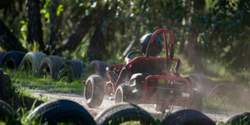 Doi copii din Craiova, de 13 ani, au furat două karturi electrice de 10.000 euro din Parcul „Romanescu”