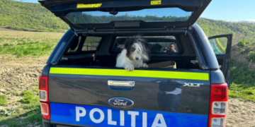 Două persoane care au abandonat un câine într-o comună din Bacău au fost amendate cu 8.000 de lei