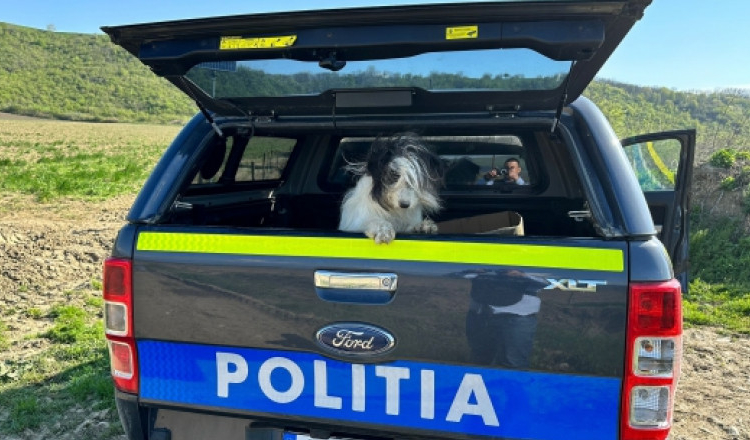 Două persoane care au abandonat un câine într-o comună din Bacău au fost amendate cu 8.000 de lei