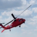 Centru de reparaţii pentru elicoptere Black Hawk la Bacău. România cumpără 12 aparate pentru intervenții de urgență