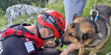 Pompierii ISU Neamț au salvat un ciobănesc german care fugise după capre și rămăsese blocat pe stânci