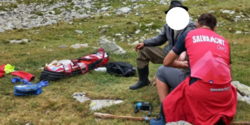 Un cioban din Gorj a fost mușcat de o viperă în Munții Parâng. Bărbatul, preluat de un elicopter SMURD