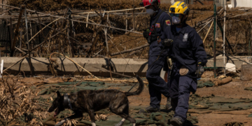 Supraviețuitorii incendiului din Hawaii sunt chemați să dea probe ADN pentru identificarea morților