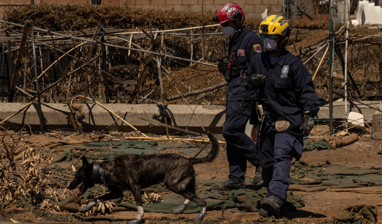 Supraviețuitorii incendiului din Hawaii sunt chemați să dea probe ADN pentru identificarea morților