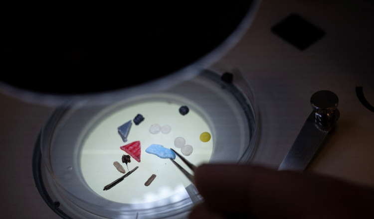 Comisia Europeană restricționează vânzarea microplasticelor. Materialele se regăsesc inclusiv în alimente și în apa potabilă