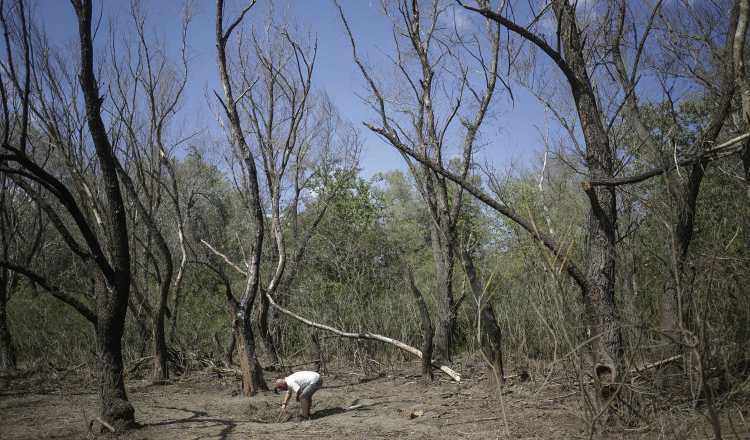 Cum au fost găsite bucățile de dronă la Nufăru. Comandantul Garnizoanei Tulcea: „Se vede mai bine din aer”