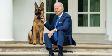 Ciobănescul german al preşedintelui Biden, Commander, a atacat din nou un membru al personalului Secret Service