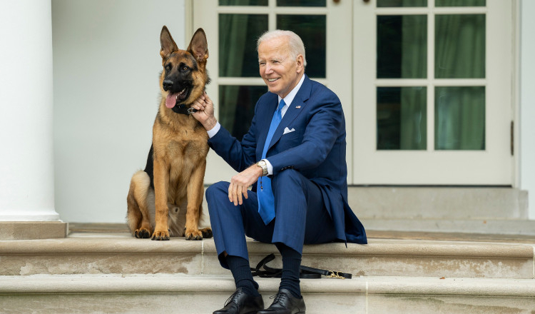 Ciobănescul german al preşedintelui Biden, Commander, a atacat din nou un membru al personalului Secret Service