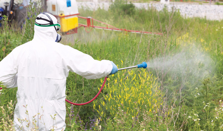 Legea ambroziei a fost modificată și merge la promulgare. Ce completări au fost aduse