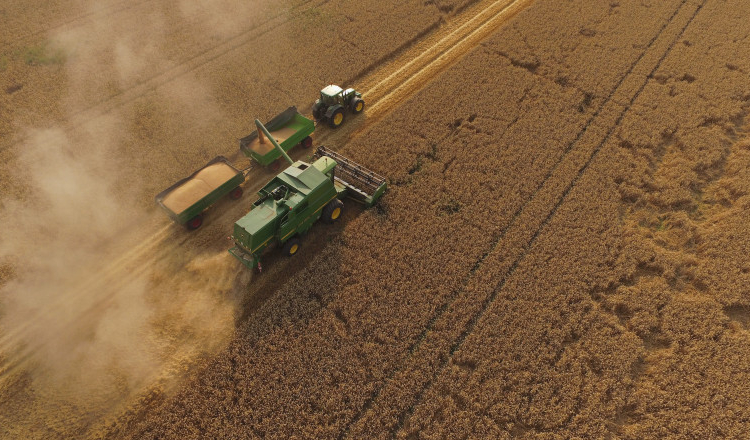 Surse: Modificările la regimul arendei sunt neconstituționale. CCR a admis sesizările depuse de USR, Forța Dreptei și Klaus Iohannis