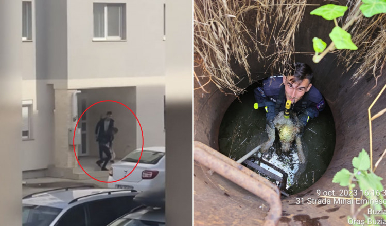 Filmul atacului în care o femeie este înjunghiată de amantul gelos. Bărbatul salvase un câine dintr-un canal, în urmă cu câteva zile