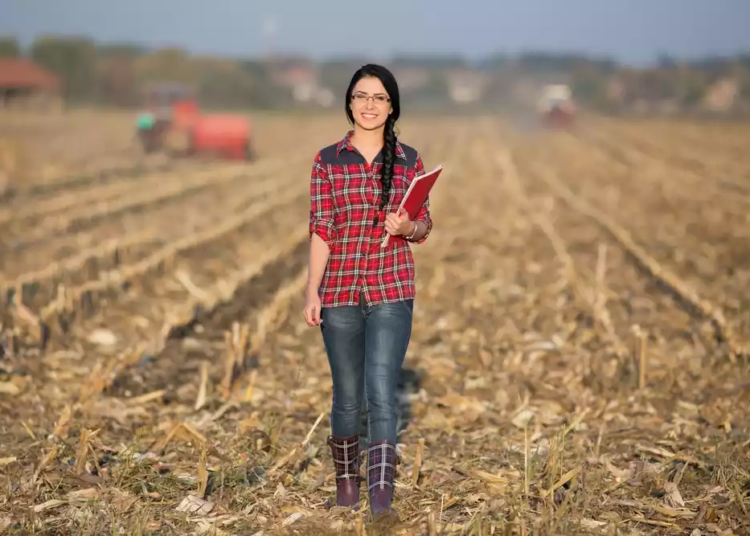 România, cea mai agrară țară din UE: Peste o cincime dintre angajați lucrează în agricultură, silvicultură și pescuit
