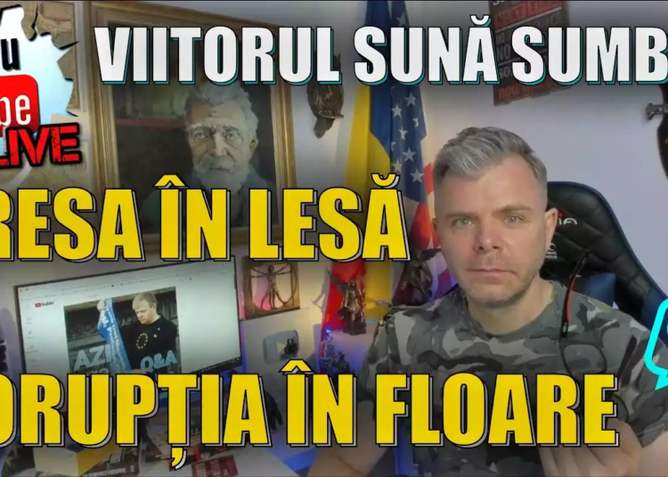 Aktual24.ro: Malin Bot a castigat procesul cu AUR si la Curtea de Apel. Trebuie sa primeasca 5.000 de euro despagubiri morale