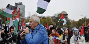 Cine e în spatele mitingurilor pro-Palestina din România