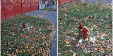 Un bărbat din Sibiu a fost amendat cu 20.000 de lei pentru că a tăiat un tei din fața casei, deranjat de frunzele care cad toamna