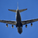 Un bărbat beat care a făcut scandal într-un avion Copenhaga-Otopeni a primit 2 ani și jumătate de închisoare cu executare