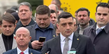 Tudor Ciuhodaru și Marius Ostaficiuc au plecat de la PSD și s-au înscris în AUR