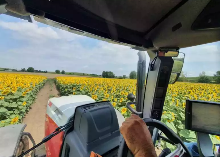 Corteva Agriscience a acordat un grant în bani pentru a sprijini persoanele cu dizabilități în agricultură