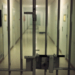 Toţi candidaţii la un post în penitenciarul Arad au picat testul psihologic. Acum aduc acuzații grave