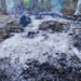Imagini cu resturile de dronă găsite la Plauru. În zonă sunt mai multe cratere