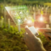 Motivarea tinerilor în agricultură prin soluții digitale