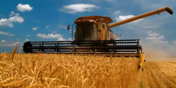 Tratamentul semințelor ajută fermierii să dezvolte culturi de cereale productive