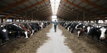 3 recomandări pentru fermieri pentru anul 2025
