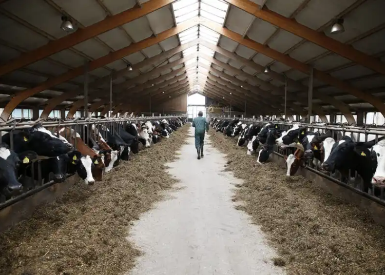 3 recomandări pentru fermieri pentru anul 2025