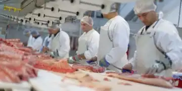 România angajează muncitori străini pentru că ai noștri nu vor să muncească cu forme legale. Deficitul de forță de muncă este de peste 600.000