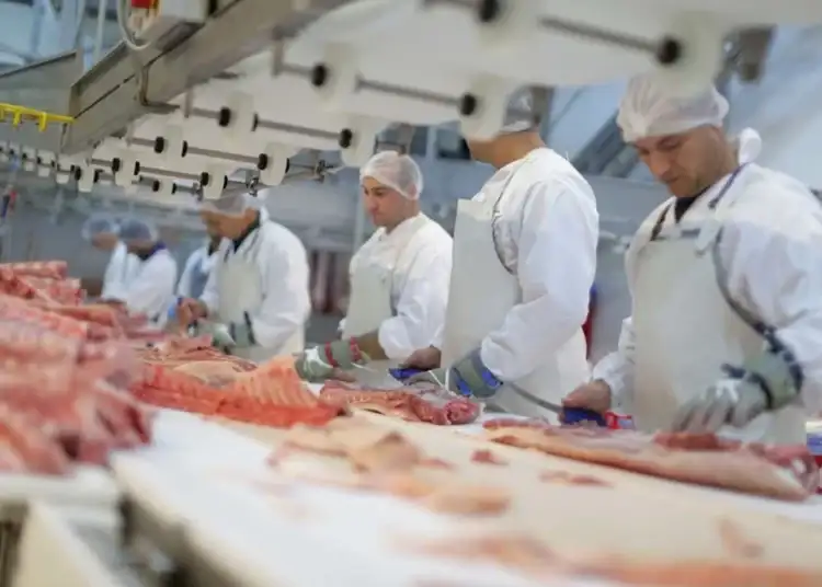 România angajează muncitori străini pentru că ai noștri nu vor să muncească cu forme legale. Deficitul de forță de muncă este de peste 600.000