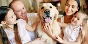 Viața la bloc pentru animalele de companie. Reguli pe care trebuie să le respecte proprietarii